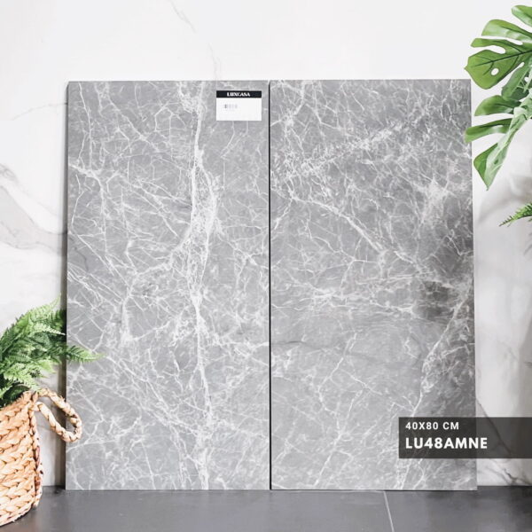 LU48AMNE thực tế