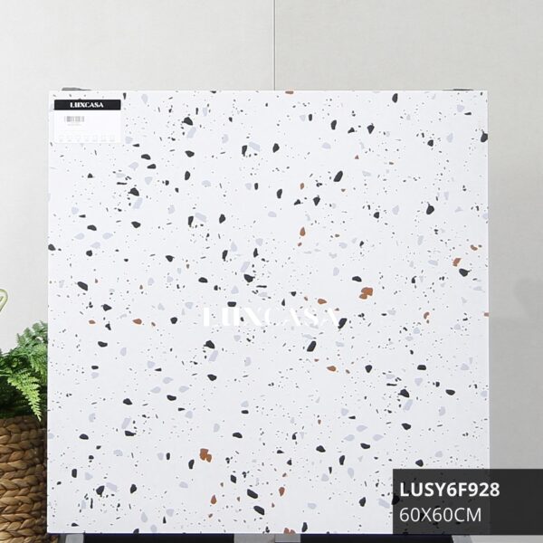 LUSY6F928
