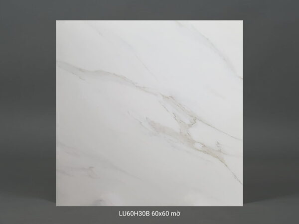 LU60H30b mờ