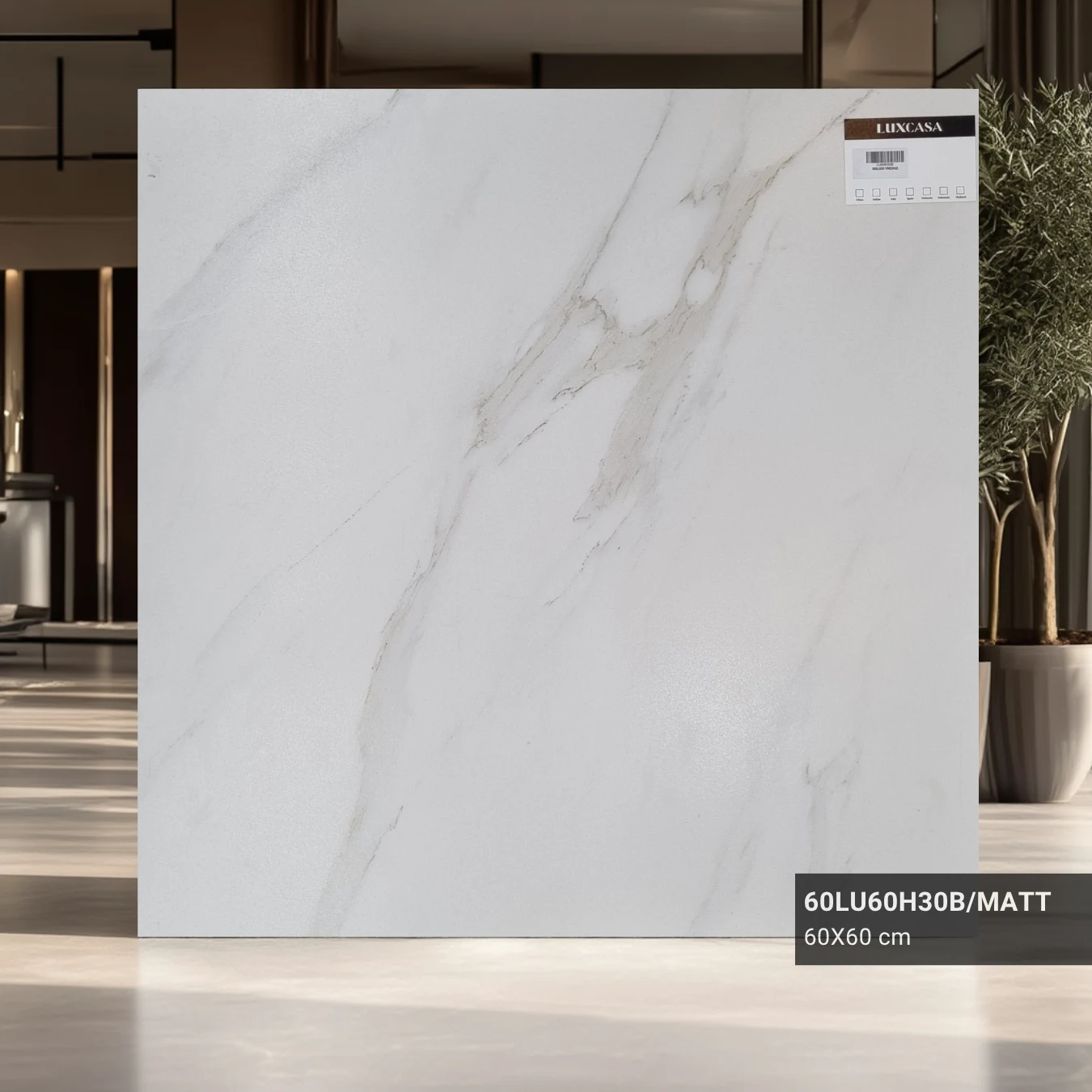 Gạch giả đá mờ 60X60 60LU60H30B
