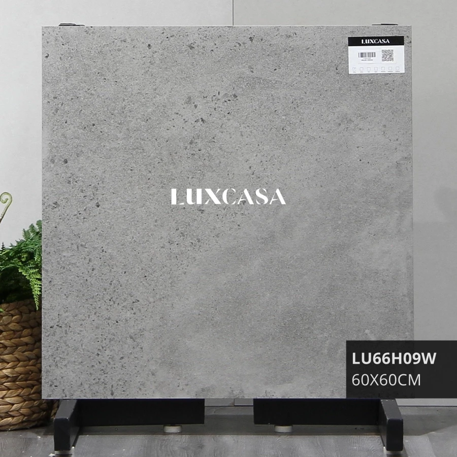 Gạch giả xi măng mờ 60x60 60LU66H09W