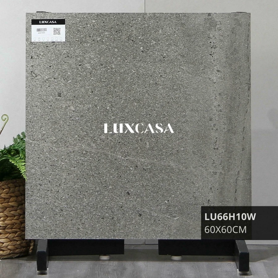 Hình thực tế chụp gạch giả xi măng mờ 60x60 LU66H10W.
