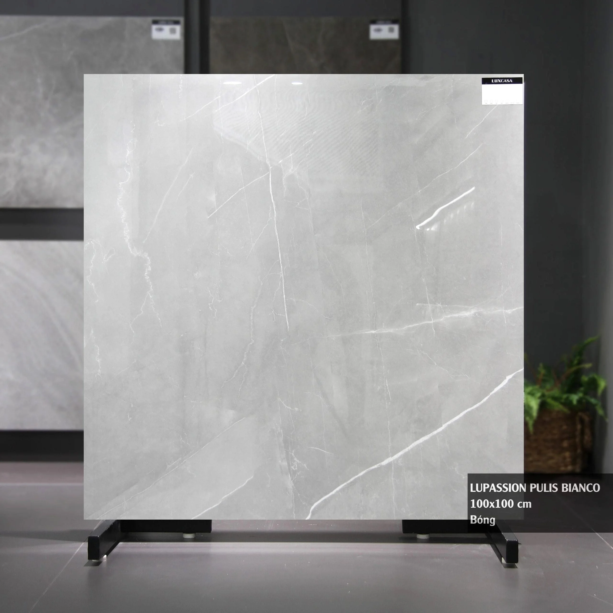 Gạch lát nền xám 100x100 LUPASSION PULIS BIANCO