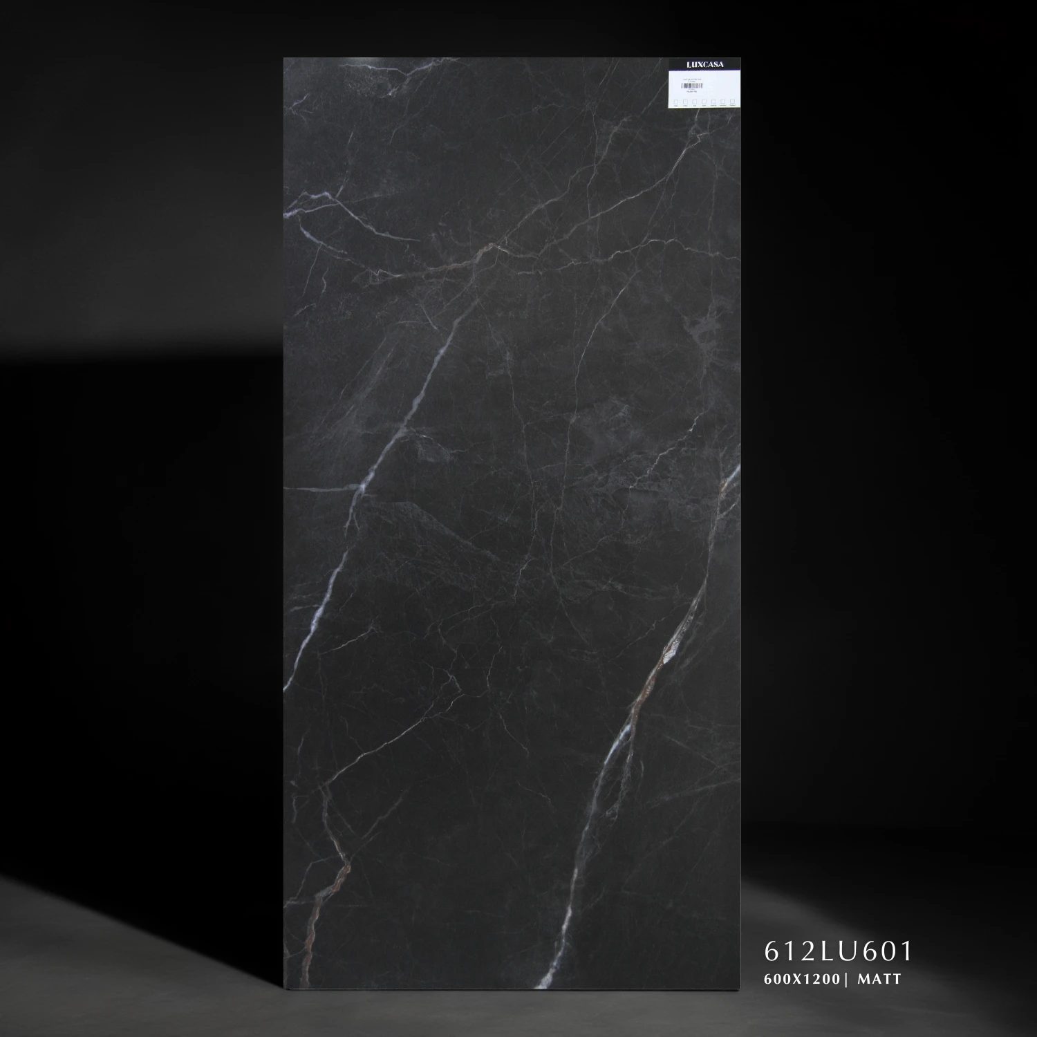 Gạch màu đen 60×120 612LU601