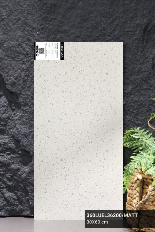 GẠCH ỐP TƯỜNG 30X60 360LUEL36200