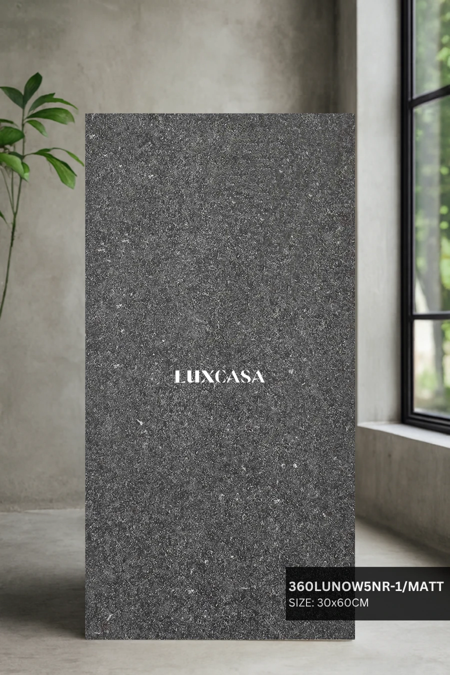 Gạch ốp tường 30×60 360LUNOW5NR-1
