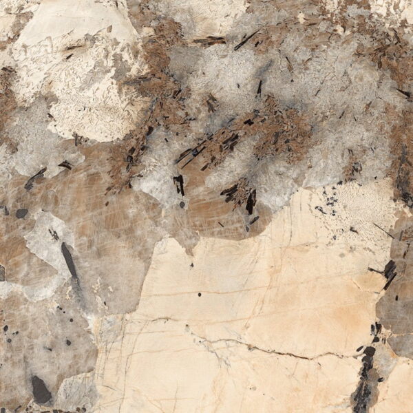 120LUE-PATAGO-BRONZE MAP 2.