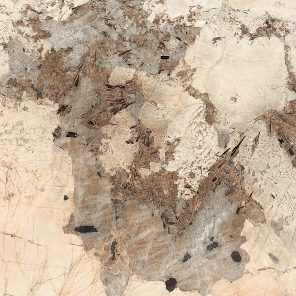 120LUE-PATAGO-BRONZE MAP 3.