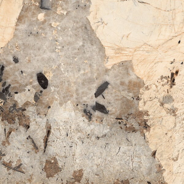 120LUE-PATAGO-BRONZE MAP 4.