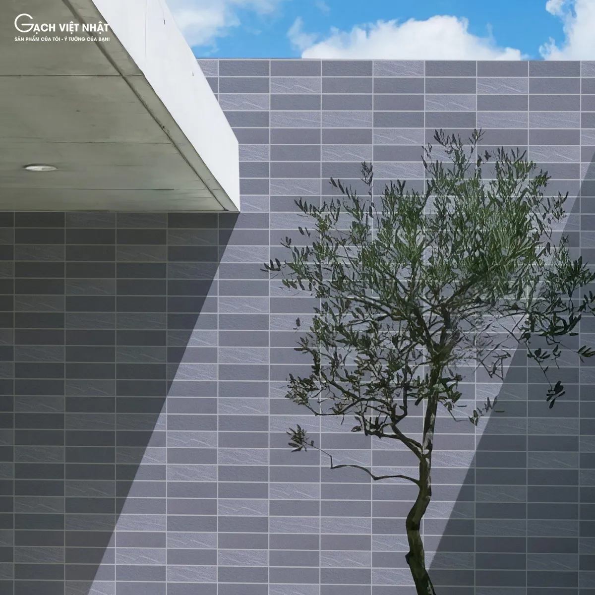 Hình phối cảnh gạch thẻ chống thấm Việt Nhật VHE (2)