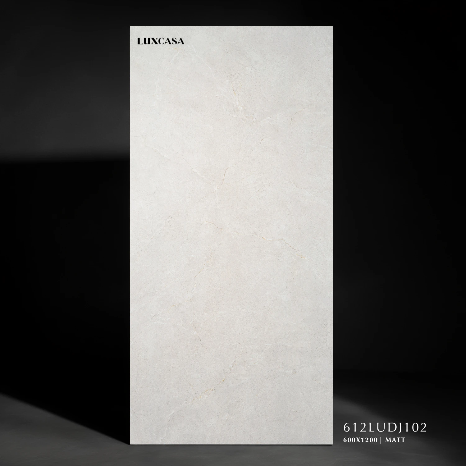 Gạch giả đá 60×120 612LUDJ102