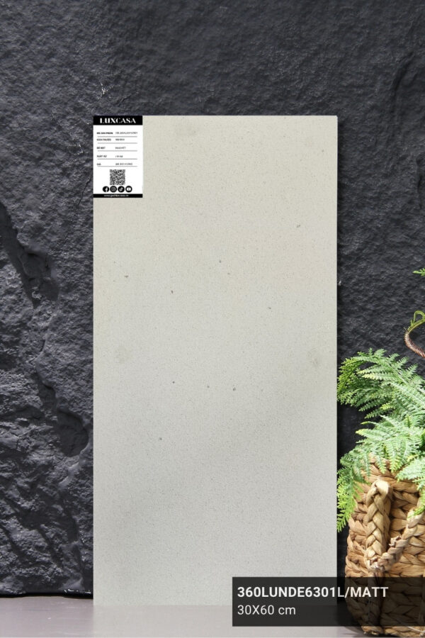GẠCH ÔP TƯỜNG 30X60 360LUDE6301L