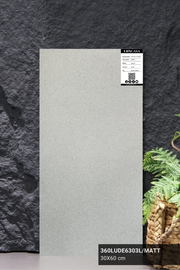 GẠCH ÔP TƯỜNG 30X60 360LUDE6303L