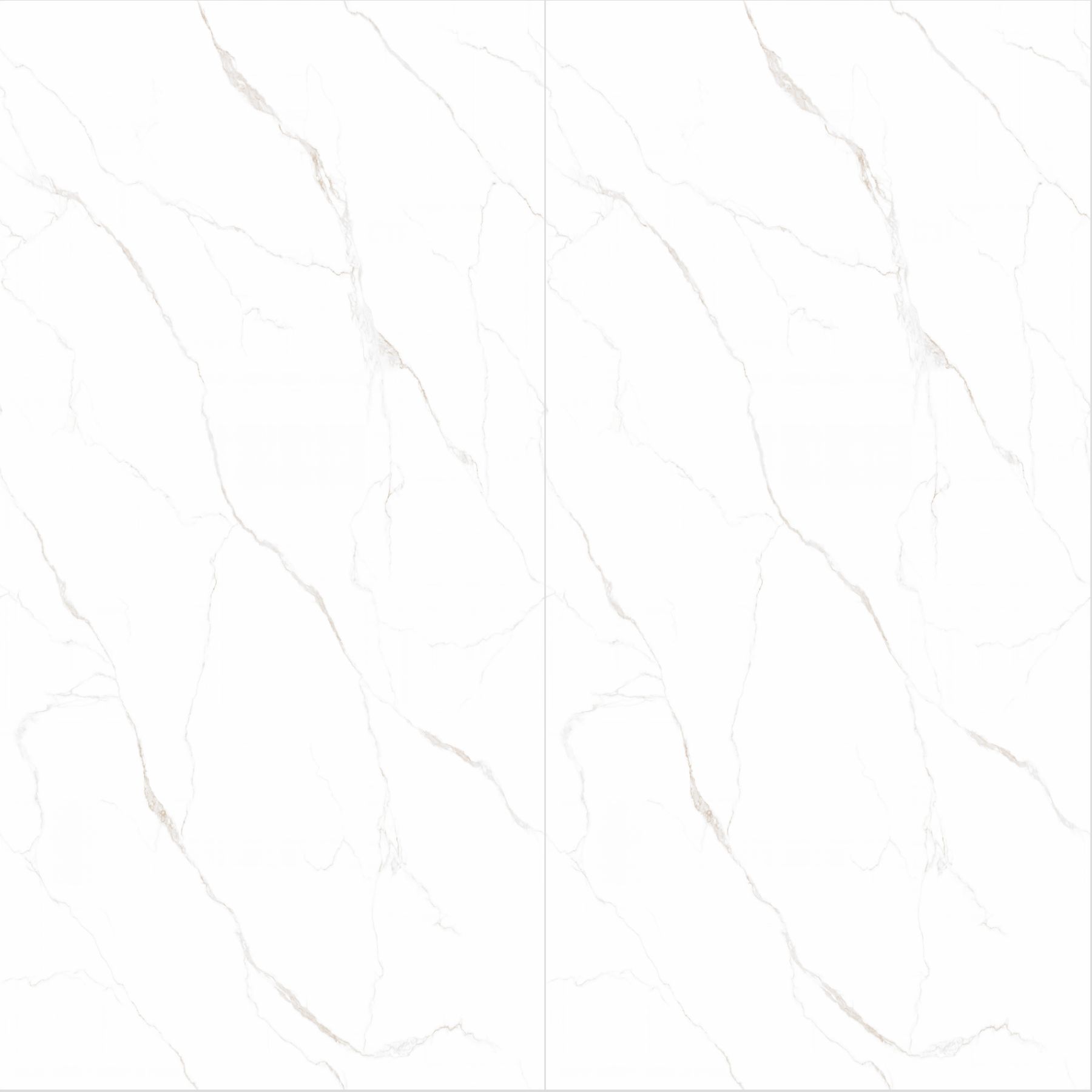 TN003