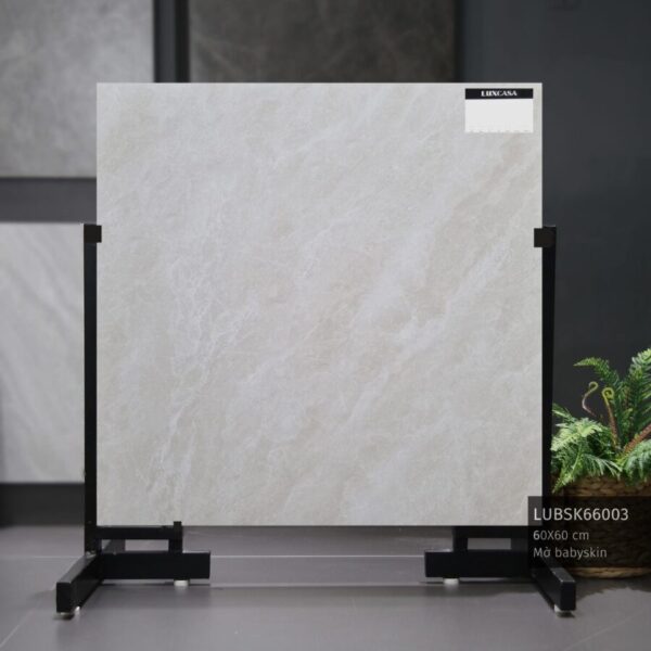 Gạch ốp mặt tiền nhà cấp 4 60x60