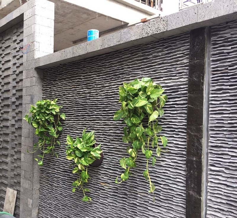 Đá răng lượng ốp hàng rào