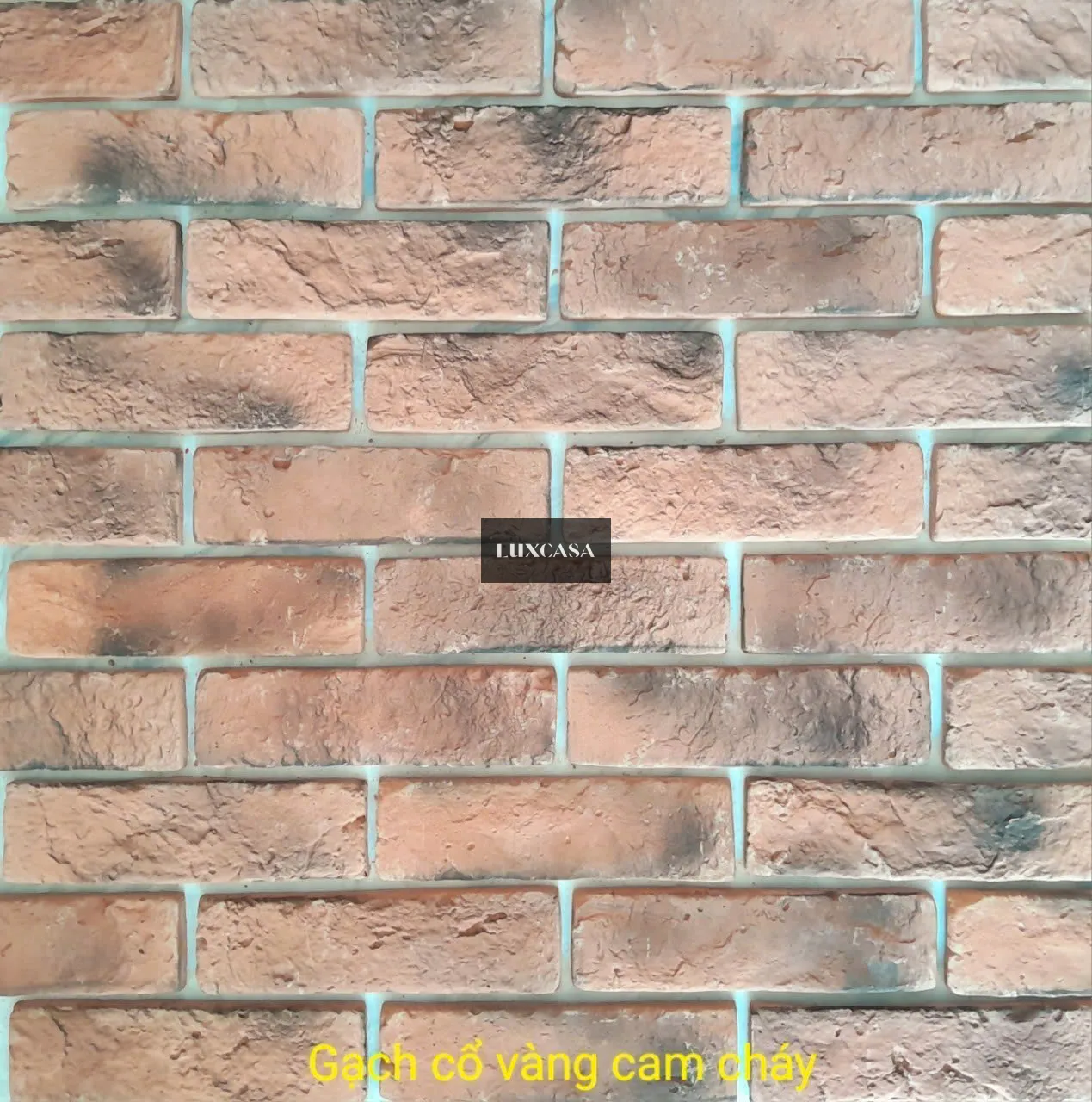 Gạch giả cổ vàng cam cháy