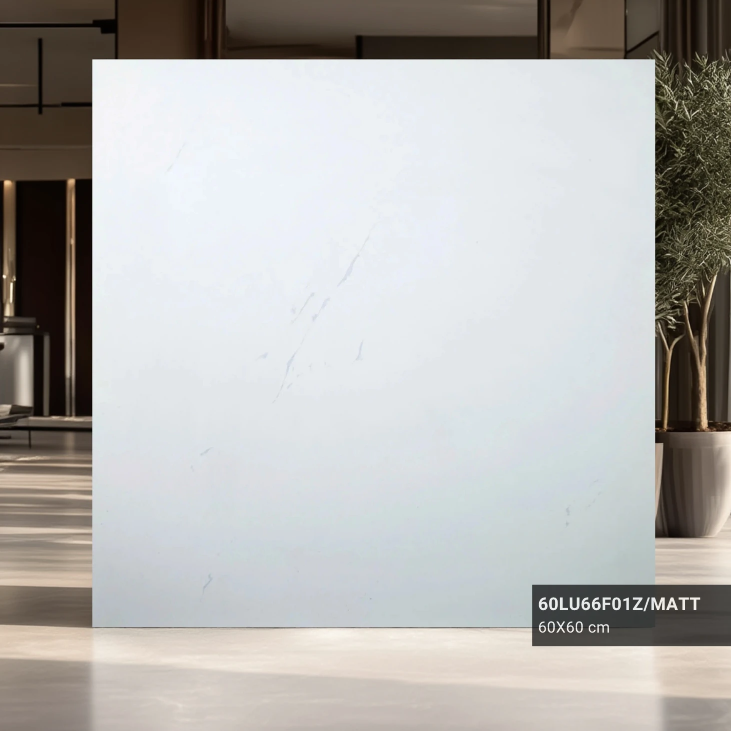 Gạch lát nền 60×60 60LU66F01Z