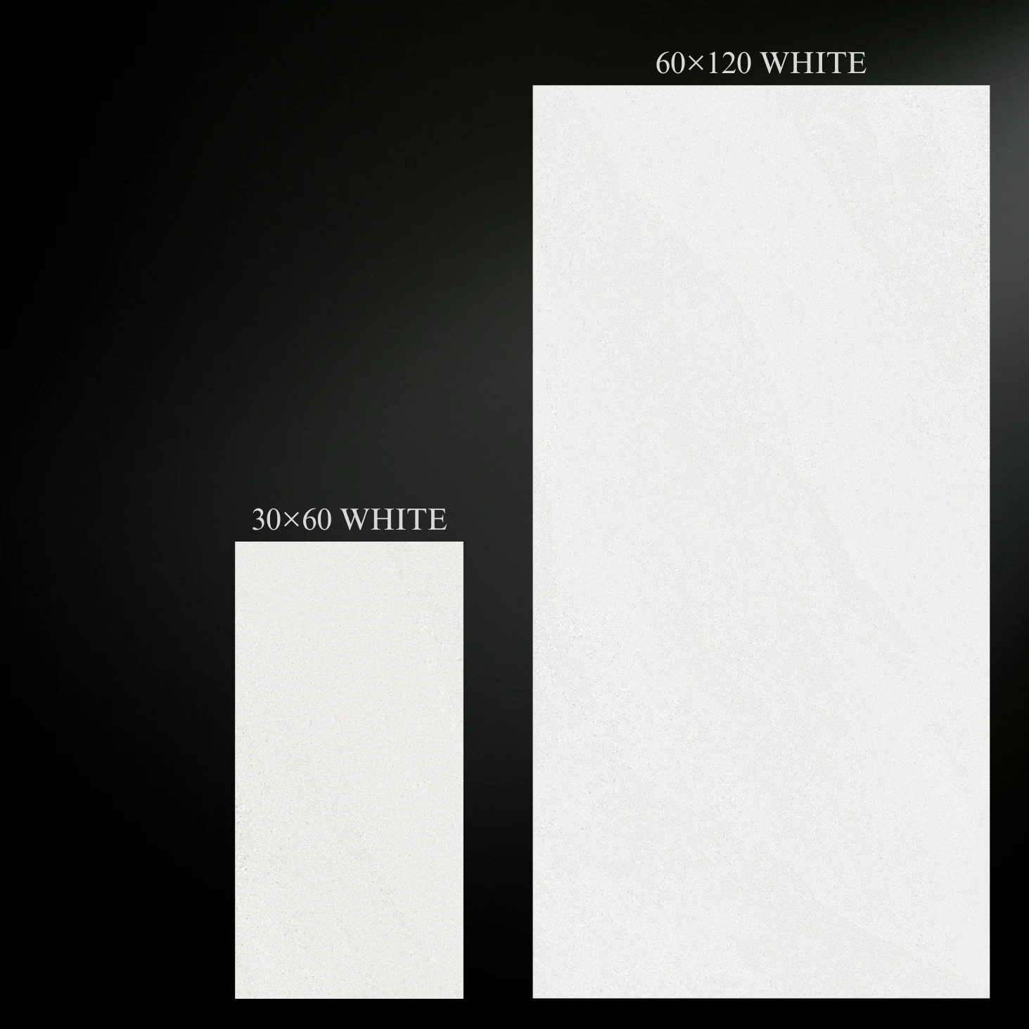 BST gạch 30x60 và 60x120 WHITE