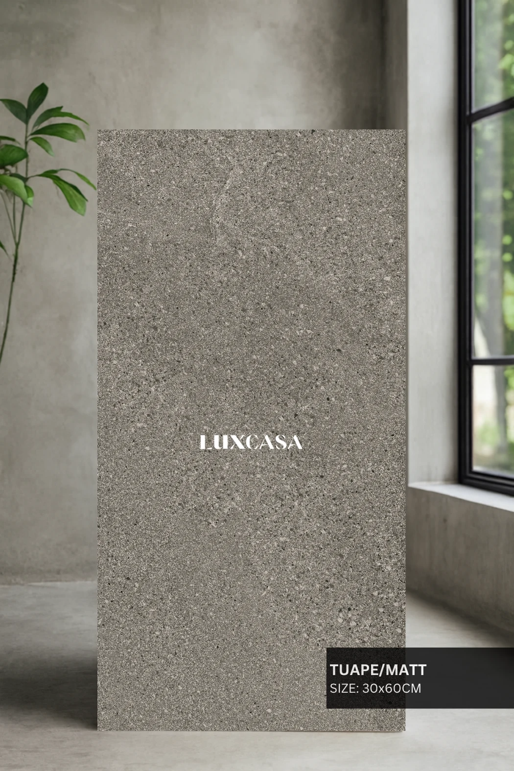 Gạch ốp tường 30×60 TUAPE