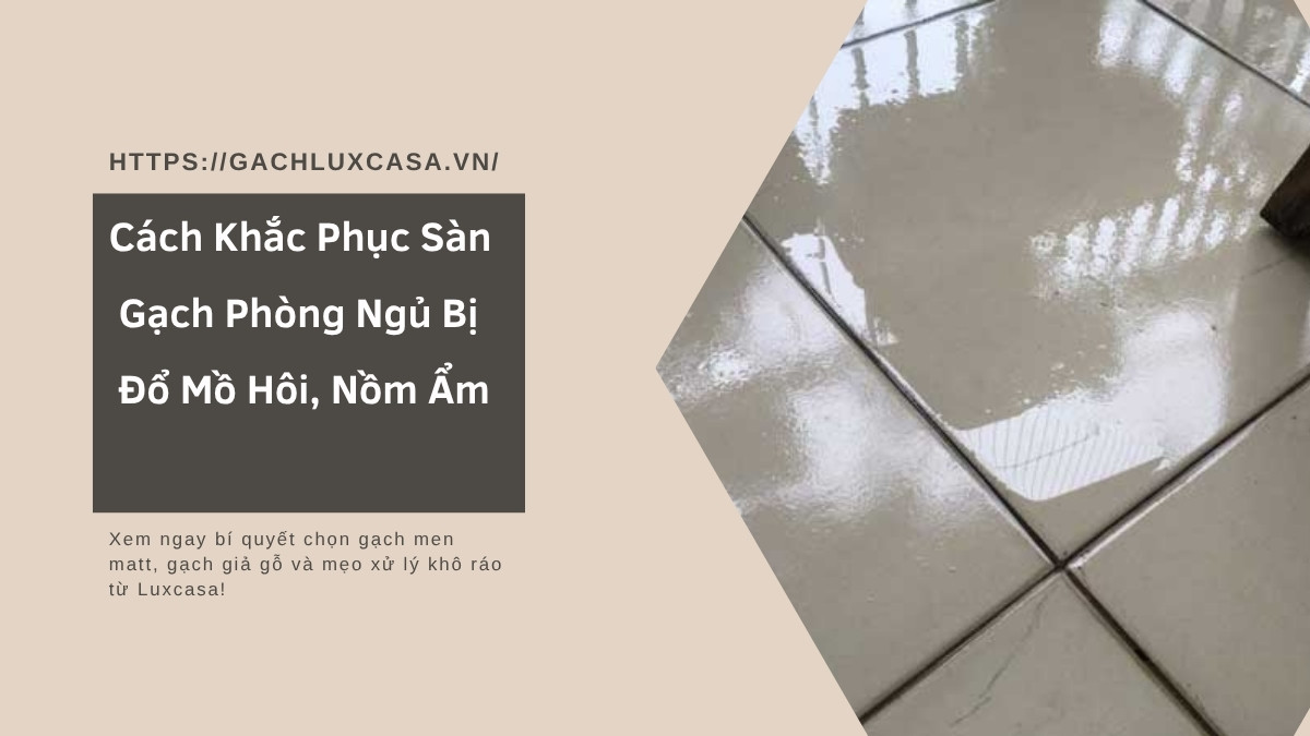 Cách Khắc Phục Sàn Gạch Phòng Ngủ Bị Đổ Mồ Hôi, Nồm Ẩm