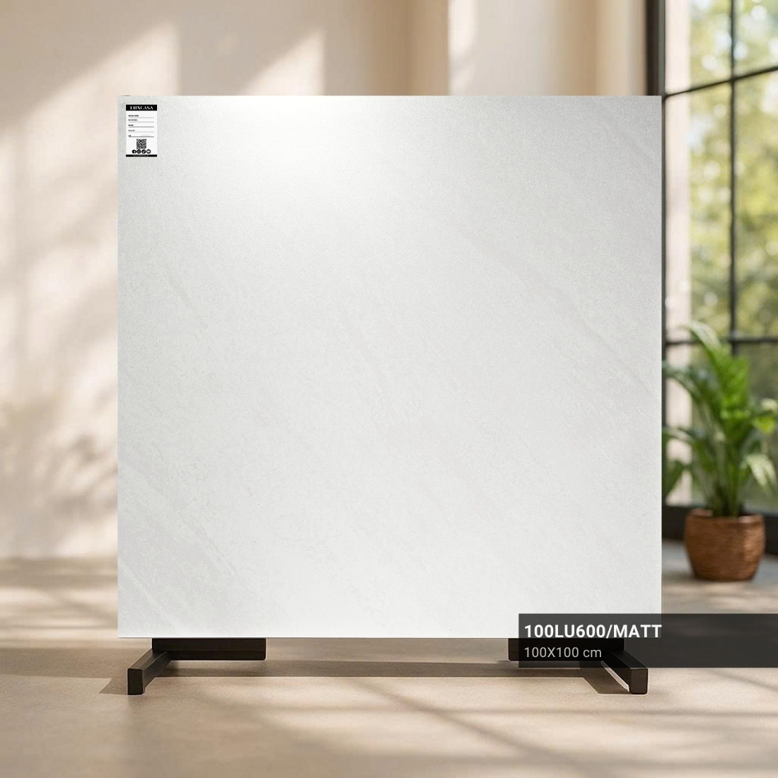 Gạch mờ mịn 1000x1000 100LU600