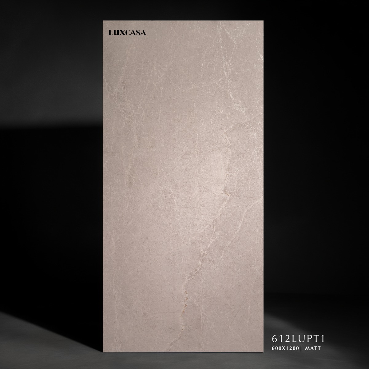 Gạch vân đá stone 60x120 612LUPT1