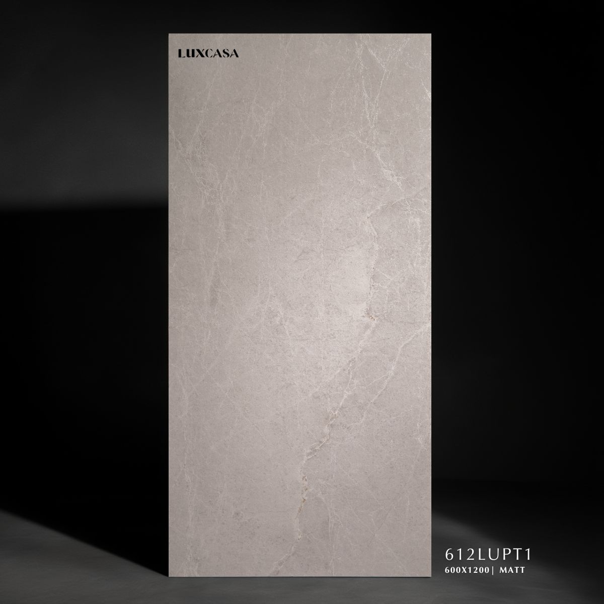 Gạch vân đá stone 60x120 612LUPT1