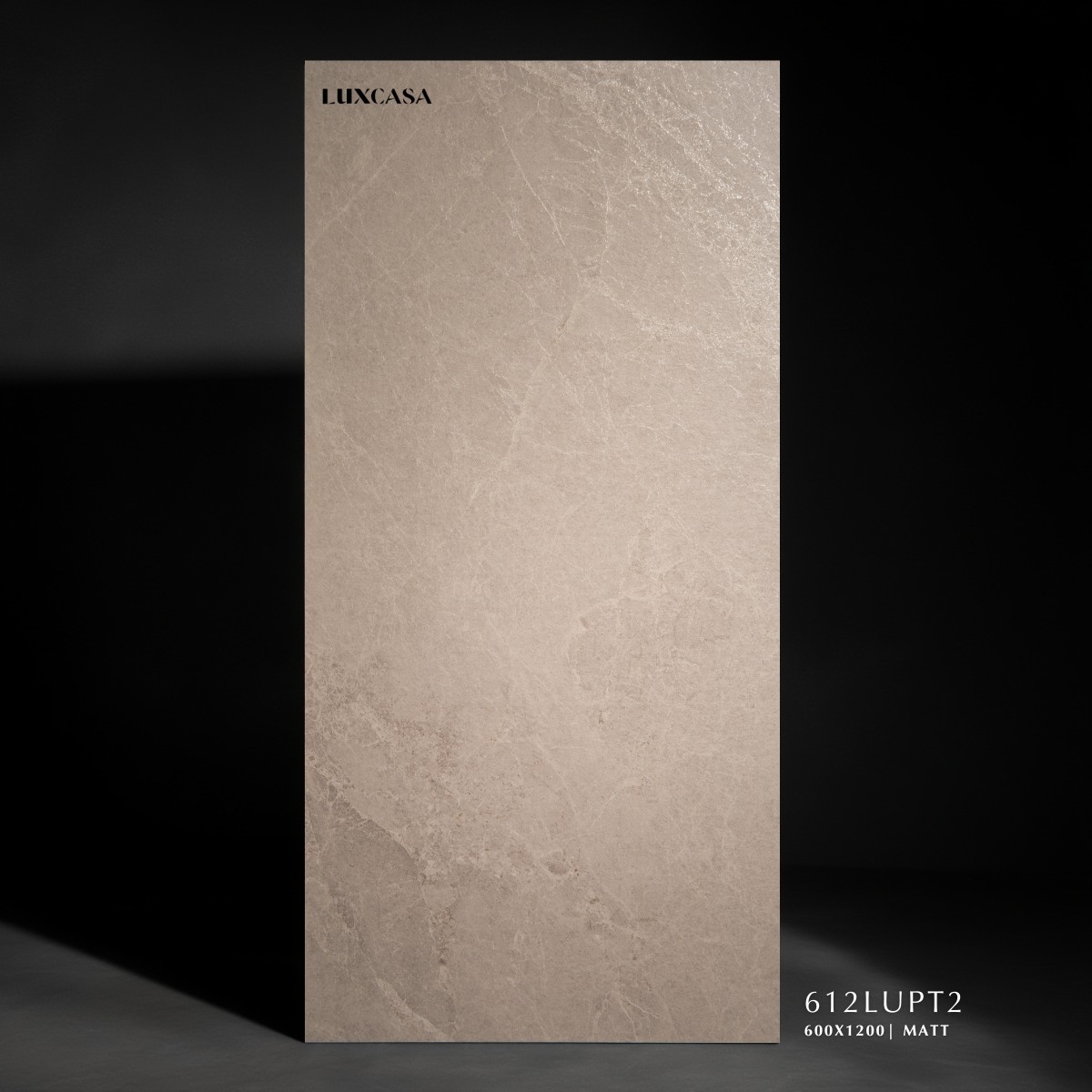 Gạch vân đá stone 60x120 612LUPT2