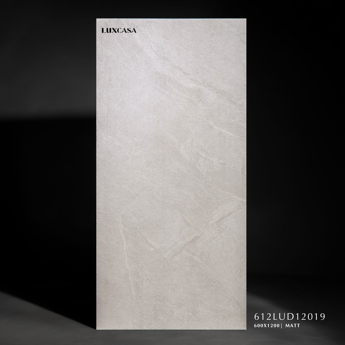 Gạch matt 60x120 612LUD12019
